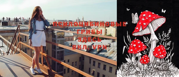 ALPHA PVP Богородицк