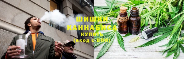 ALPHA PVP Богородицк